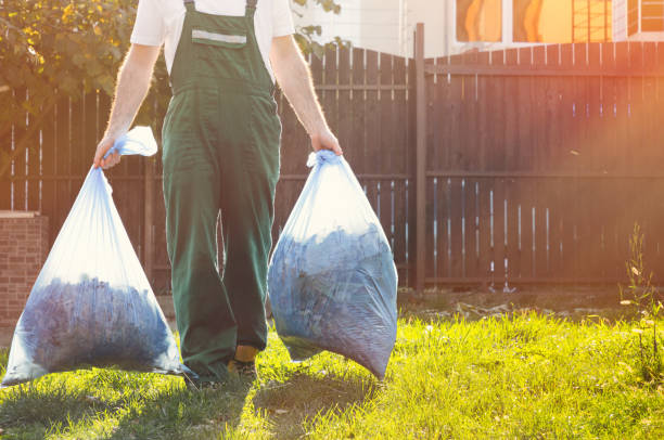 Best Shed Removal  in Ironwood, MI